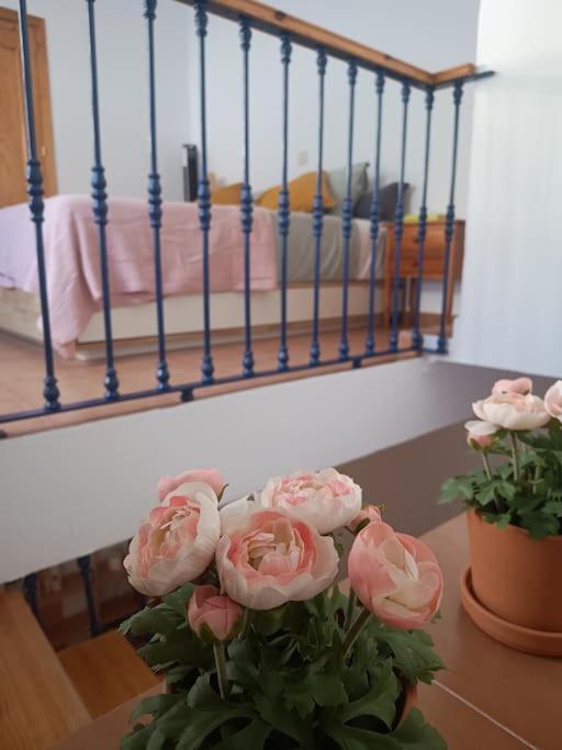 Casa Heli - Ruim Appartement Met Dakterras In Polopos Екстер'єр фото